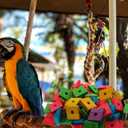 BESPORTBLE Bird Toy Parts, Pack of 100 Wood Blocks for Birds Multicolored Natural Wooden Blocks Bird Chewing Toy Mini Wood Chip Charms for DIY Playing Chewing Bird Toys