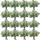 Hotop 100 Pcs Mixed Eucalyptus Leaves Stems Bulk Artificial Silver Dollar Greenery for Bouquet Faux Plant Branches for Wedding Bridal Bouquets Vase Floral Arrangement Home Decor