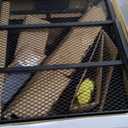 CURT 18153 60 x 24-Inch Basket Hitch Cargo Carrier, 500 lbs Capacity, Black Steel, 2-In Folding Shank