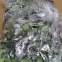 Sggvecsy Artificial Eucalyptus Garland 8 Pack Fake Eucalyptus Greenery Garland Faux Hanging Plants Artificial Vines, 5.6 Feet/Strand for Wedding Backdrop Arch Wall Table Party Outdoor Festival Decor