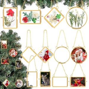 8pcs Mini Double Glass Pressed Flower Frame Kit with 40 Dried Pressed Flowers, 2x3 Inch Glass Wall Hanging Picture Frame with Chain Ornaments for Women Christmas Handicraft Vintage DIY Home Decor