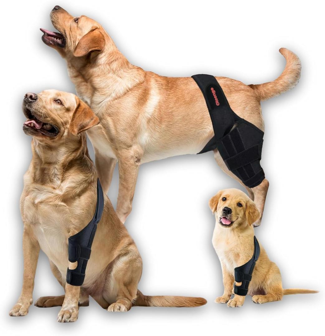 Dog Knee Brace for Torn acl Hind Leg, Arthritis, Hip Dysplasia, Dog Knee Brace for Luxating Patella, Dog Leg Braces for Back Leg, Dog acl Brace Hind Leg, Dog Knee Braces for Back Leg (S)