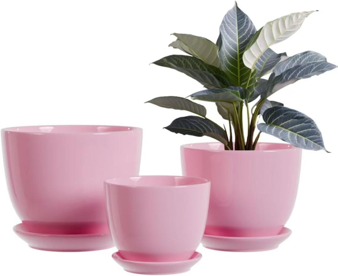 Pink Ceramic Flower Pots,Indoor Decorative Plant Pots Set of 3-4"+5"+6" Inch Small Glazed Succulent Planters with Drainage Hole,Modern Garden Pots with Saucer