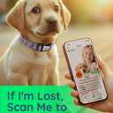 WhoseID Dog Collar for Small Medium Large Dogs