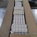 25 Pack T8 Fluorescent Bulbs 4 Foot, F32T8/865 Fluorescent Light Bulb 48 Inch 32 Watt 6500K Daylight 2500 Lumens G13 Base