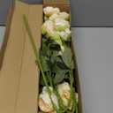 6 Pcs Artificial Peonies Stems Flowers 32", Real Look Large Faux Silk Peony Bouquet 42 Heads Total for Vase Filler, Farmhouse & Rustic Home Decor, Realistic Wedding Centerpieces - Beige