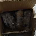 Pintuson 6 Pcs Industrial Pipe Clothes Bar 12 Inch - Wall Mount Clothing Rack - Face Out Closet Rods for Hanging Clothes Commercial Retail Boutique Laundry Shirt Display - Golden