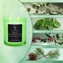 Mint Eucalyptus Scented Candle, 2-Wick Luxury Soy Wax Candle, 9 oz Aromatherapy Candle Home Fragrance Candles Gift