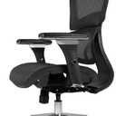 Nouhaus Ergo3D Ergonomic Office Chair Lumbar Support Mesh Office Chair with 4D Adjustable Armrest, Adjustable Headrest and Wheels, Mesh High Back Home Office Desk Chairs(Black)