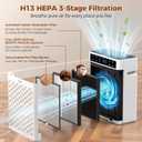 Air Purifiers for Home Large Room up to 3000sq.ft, PRASKY HEPA Air Purifier & with Activated Carbon for Office, Bedroom, Dorm Room, Kitchen