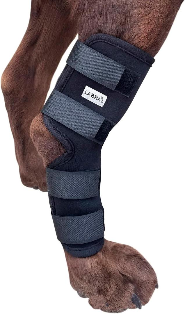 Labra Dog Rear Leg Hock Joint Compression Wrap - Supportive Brace for Weak Back Legs, ACL Tear, and Joint Discomfort - Adjustable Hind Leg Support for Senior Dogs - Medium (EXP 01/01/30)