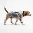 Olsa Dog Raincoat, Dog Hooded Slicker Poncho, 4 Legs Rain Jacket with Reflective Stripe, Water Proof Rain Snow Clothes with Hood for Dogs, Large