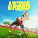 Purina Pro Plan Small Breed Dog Food With Probiotics for Dogs, Shredded Blend Chicken & Rice Formula - 6 lb. Bag (EXP 04/01/27)