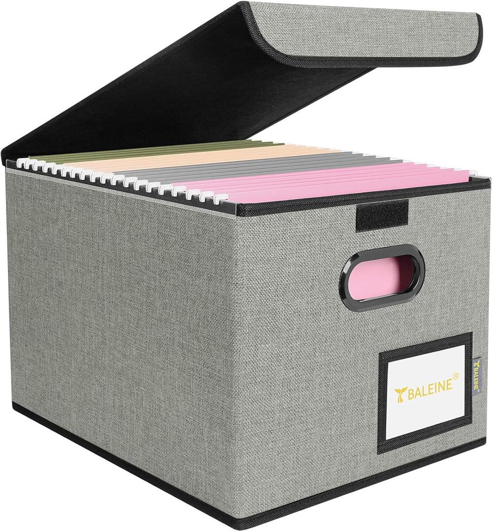 BALEINE File Organizer Box with Lid, Collapsible Hanging File Storage Box