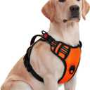 rabbitgoo Dog Harness for Large Dogs, No Pull Pet Harness with Soft Padded Handle, Adjustable Reflective Vest with 3 Buckles, Easy Walking Harness with 2 Leash Clips, Orange, Medium