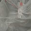 BINO | Plastic Bins, Large - 2 Pack | THE LUCID COLLECTION | Multi-Use| Built-In Handles | BPA-Free | Clear Storage Containers | Fridge Organizer | Pantry & Home Organization