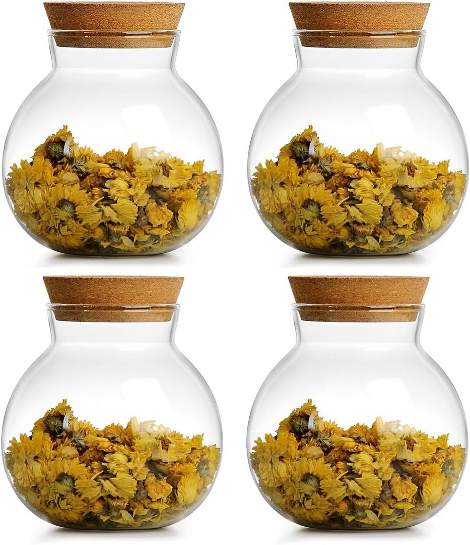 17oz Spherical Glass Jar with Cork Lid Airtight - Kitchen Glass Jar for Preserving and Storing candy, tea, Coffee, Spice, flour, Beans etc. (4)