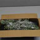 Artificial Hanging Plant 2 Pcs Faux Plant Ivy Vine Faux Eucalyptus Vines Fake Potted Greenery for Wall Living Room Home Shelf Office Bathroom Outdoor Indoor Decor (Type 2)