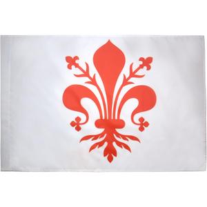 Florence Flag 2' x 3' for a pole - Firenze in Tuscany flags 60 x 90 cm - Banner 2x3 ft with hole - AZ FLAG