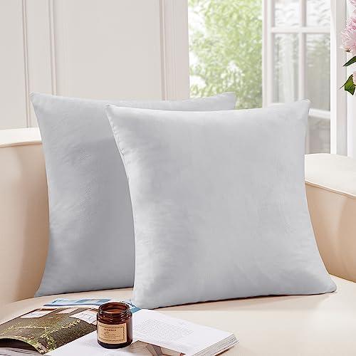 Deconovo Super Soft Plush Decorative Velvet Throw Pillow Covers 18x18in for Couch, Set of 2, Light Grey