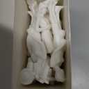 Namalu 30 Pcs 1:25 Scale 2.95 Inch White Unpainted Mini People Figures Miniature People for Model Trains Architectural Standing and Sitting Mini Diorama Figures for Architectural Project Scenes