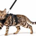 PUPTECK Cat Harness and Leash Set Escape Proof for Walking, Breathable Mash Vest Adjustable Harness for Cats Puppy Small Animals, Reflective at Night, Black Small (S: Neck 9"-11.4", Chest 11"-16.1")
