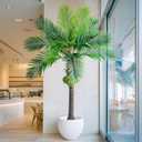 Erimda 30-Year Factory Faux Coconut Tree - 6FT Faux Palm Tree Realistic Thick Trunk & Heavy Duty Leaves, Hand-Carved Bark Texture, Indoor Tropical Decor for Living Room/Store, No Shiny Plastic Look