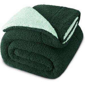 Exclusivo Mezcla Reversible Twin Size Sherpa Blanket, Thick and Warm Fleece Blankets for Winter, Soft Plush Fluffy for Bed, 60x80 Inches, Forest/Mint Green