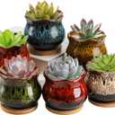 TOPZEA Set of 6 Succulent Plant Pots, 4 Inch Glazed Ceramic Cute Plant Pots with Drainage and Saucer, Mini Bonsai Planter Small Cactus Flower Pots for Indoor Outdoor Use