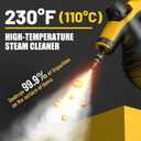 Pressurized Handheld Steam Cleaner with 10pcs Accessories & Safety Lock, Multi-Purpose & Powerful Home Use Steamer for Cleaning, Car, Bathroom, Shower, Upholstery, Grout, Window (Black)