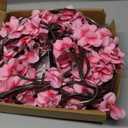 Cherry Enchanted Willow Vine Lights 7.55FT 144LED Pink Cherry Blossom Tree Branch Lights for Wall, Remote Timer, 8 Light Model, Bedroom Wall Doors Wedding, Christmas, USB Battery Box