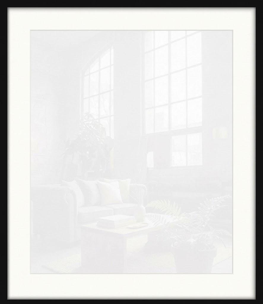 Gallery Wall Hanging High-Clarity Clear Panel, Horizontal & Vertical Display, Versatile for Poster Canvas Certificate, Size 22 x 24 inches