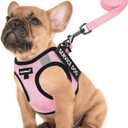 FAYOGOO Service Dog Vest for Small Breed - Lightweight Dog Harness with 6PCS Removable Patches - Puppy Harness and Leash Set for Walking,Training (Pink)