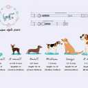 Unique style paws Independence Day Flag Dog Collar, Best for Small Medium Large Boys Girls Dogs (XL, ice flag flower)