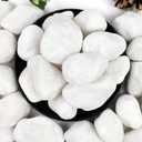 20lb White River Rocks for Landscaping, 2-3 Inch Natural Pebbles for Indoor Plants, Snow White Decorative Stones, Ideal for Fish Tank, Vases, Crafting, Home Decor and Garden Rocks