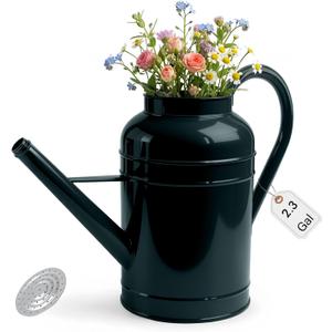 ‌2.3-Gallon Metal Watering Can,8.7L Galvanized Watering Can for Outdoor Plants with Removable Long Silver Spout