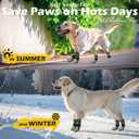 EXPAWLORER Anti Slip Dog Socks to Prevent Licking Paws, Shoes for Hot Pavement, Dog Booties for Dogs, Traction Control Boots & Paw Protectors for Hardwood Floors Army Green, Small