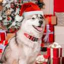 5 x Snowman Christmas Tree Christmas Dog Collar for Large Dogs - Premium Adjustable Soft Dog Christmas Collar (1 Pcs Christmas Red)
