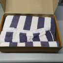 Amazon Basics 100% Cotton Soft & Absorbent Beach Towels, Cabana Stripe, Fast Drying, Machine Washable, Large 30 in x 60 in, Navy Blue, 2-Pack