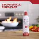 Kidde Flame Out Fire Spray, Extinguishing Aerosol for Home Use, Kitchens, Dorms, Apartments, Compact, Portable & Easy to Use, Non-Toxic, 17.6 oz 1 Pack