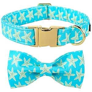 Lionet Paws Summer Dog Collar with Bowtie, Soft Comfortable Adjustable Cute Starfish Bowtie Collar for X-Large Dogs Male Female Gift, Neck 16-26 inches
