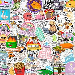 Delulu is Da Solulu by Puraesla - 300PCS Funny Holographic Stickers for Adults - Sarcastic Meme Decals for Friends,Co Workers Waterproof Vinyl for Laptop, Water Bottle, Journal