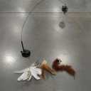 Funny Kitten Toy Set Detachable Pet Supplies Door Hanging Feather for Kitty with Black Ball