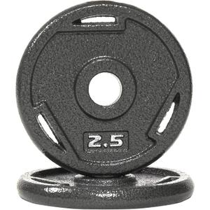 Cast Iron 1-Inch Standard Weight Plate for Strength Training & Weightlifting