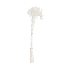 50pcs Dried Flower Bouquet Natural Dried Plant Decor for Home Wedding and Crafting Realistic Tail Grass Arrangement Easy Maintenance No Watering Needed