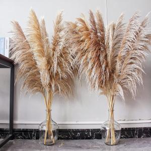 46" inch 10 Stems Natural Pampas Grass Decor Tall, Pompas Grass, Tall Pampas Grass for Weddingm, Farmhouse, Boho Home Decor (Brown)