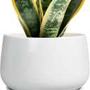 G EPGardening Ceramic Pots for Plants - 7 Inch Planter for Indoor Plants, Round Flower Pots with Drainage and Saucer, Modern Outdoor Planter, Garden Decor, Home Gifts, White