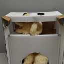 JOY FOR ALL Ageless Innovation Companion Pet for Seniors - Lifelike Animatronic Dog - Realistic Soft-Touch Coat & Heartbeat - Therapy Stuffed Animal - Toy for Alzheimer's & Dementia - Golden Pup (Brown)