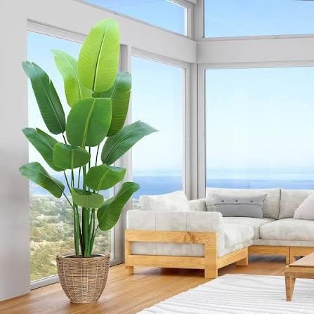 Bird of Paradise Plant Artificial 6ft,Faux Plants Indoor Tall with 12 Trunks - The Perfect Indoor Silk Floor Plant for Home Decor in Living Room, Office, and Bedroom