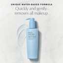 Este Lauder Take It Away Liquid Makeup Remover Lotion | Removes Waterproof & Long-Wear Makeup, 6.7 Ounce